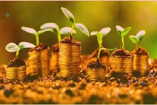 受到越来越多年轻人的青睐付费自习室魅力何在