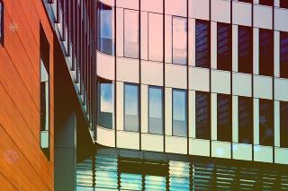 微软Win11预览版新特性，快速查看已保存的Wi-Fi密码