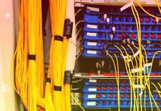 走进新国企·改革赋能新发展国投集团：既“管好”又“放活”