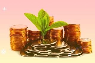 “绩溪牛”亮相元宇宙:完美世界控股集团以数字文创赋能绩溪乡村振兴